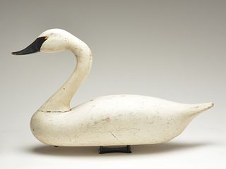 Early style swan, Madison Mitchell, Havre de Grace, Maryland, circa 1950.