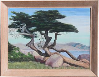 Signed, 20th C. Painting of a Monterey Cypress