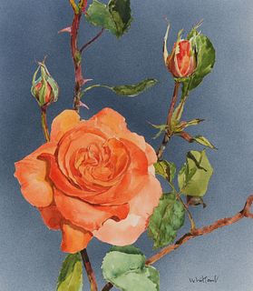 Skip Whitcomb (B. 1946) "Rose"