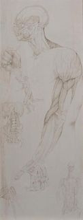 Don LaViere Turner, (Wisconsin, 1929-1997), Anatomical Studies for 'The Studio'