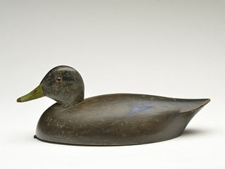 Hollow carved black duck, Harry Townsend, last quarter 19th century.