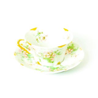 Limoges, Theodore Haviland Cup and Saucer