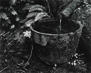Edward Weston
(American, 1886-1958)
Untitled