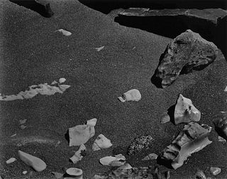 Edward Weston
(American, 1886-1958)) 
Point Lobos, 1948 (printed later)