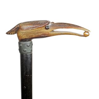 Horn Frigate Bird Cane