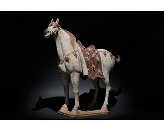 HUGE CHINESE TANG DYNASTY TERRACOTTA HORSE - TL TESTED