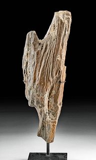 Prehistoric North American Fossilized Petrified Wood