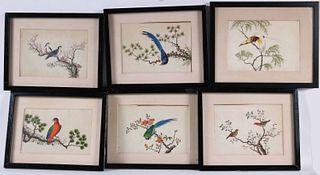 Six Chinese School Watercolors of Birds