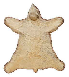 A Taxidermy Polar Bear Rug