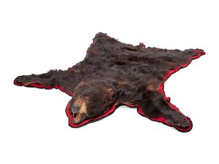 A Taxidermy Brown Bear Rug 