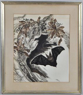 John MacKenzie,  W/C On Paper "Bat"