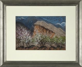 Albert Schmidt, Plum Trees and Mesa