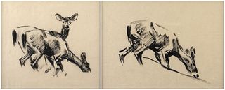 Frank Hoffman, Two Drawings of Deer