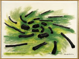 David Nash, Charred Wood - Green Moss, 1990