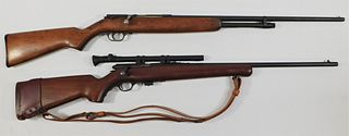 Two Bolt-action Arms