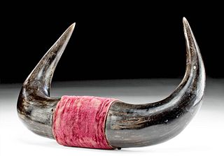 Antique American Buffalo Horns