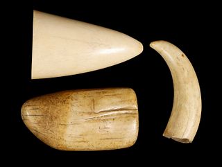 (3) PC TOOTH AND TUSK