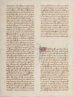 [MANUSCRIPT LEAF -- BIBLE]. One leaf on vellum, in Latin. France, ca 14th century.