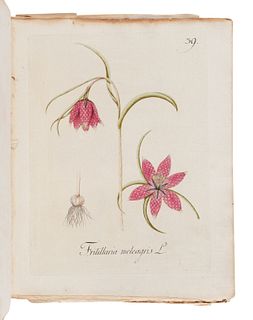 KERNER, Johann Simon (1755-1830). Abbildung Aller Oekonomischen Pflanzen. Stuttgart: Christoph Friedrich Cotta, 1786, 1788.