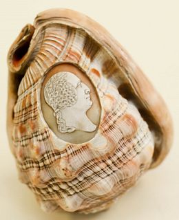 Cameo Conch Shell