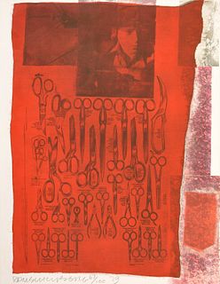 Robert Rauschenberg "More Distant Visible Part of the Sea" Screenprint