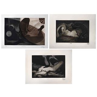 SANTOS BALMORÍ, a) Leda b) Danae c) Ninfa, Signed and dated 1988 Aquatint etching 18 / 50 and 25 / 50, 11.8 x 17.3" (30 x 44 cm) each, Pieces: 3