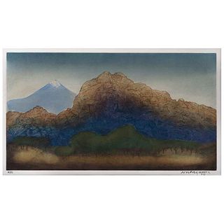 LUIS NISHIZAWA, Untitled, Signed and dated 94, Aquatint H / C, 12.5 x 22.4" (32 x 57 cm)