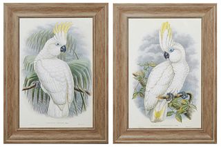 J. Gould, "Cacatua Opthalmica," and "Cacatua Triton," 20th c., after the 19th c. originals, pair of colored cockatiel prints, presented in distressed 