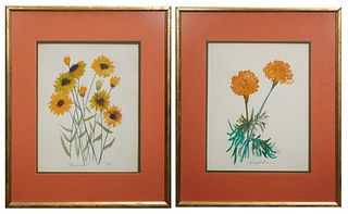 Zella Funck (1917-2009, Louisiana), "Marigold" and "Daisies," 20th c., watercolors on paper, signed lower right, titled lower left, presented in gilt 