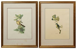 John James Audubon (1785-1851), "Mangrove Cuckoo," No 34, Plate 169; and "Great Crested Flycatcher," No. 26, Plate 129, Amsterdam edition, presented i