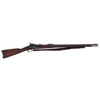 Springfield Model 1884 Cadet Trapdoor Rifle