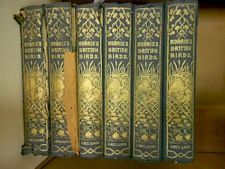 MORRIS (Rev. F.O) A History of British Birds, 2nd edition, 6 vols, London: G.Bell and Sons 1870, num