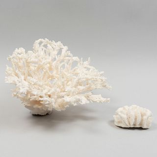 Lote de 2 formaciones naturales de coral blanco. 20 cm altura (mayor)