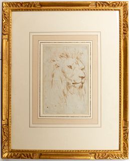 Antique Continental School "Head of a Lion" Ink