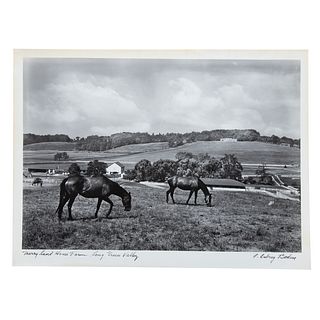 A. Aubrey Bodine. "Merryland Horse Farm"