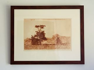 Herbert Fink, LONESOME PINE, Etching on Paper,1979