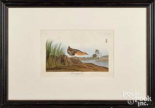 John James Audubon, colored engraving
