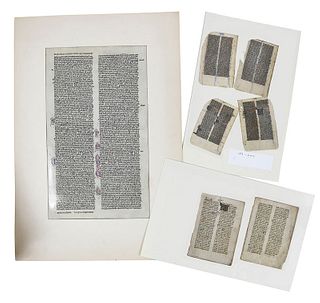 Early Parchment and Vellum Manuscript Pages