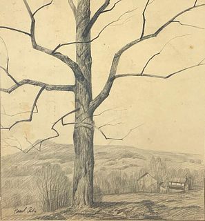 Paul Riba Drawing, Tree on a Hill