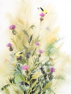 Edwin Havas Watercolor Birds & Flowers
