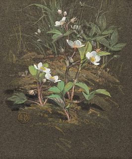 American/European School, 19th Century Strawberry Plant