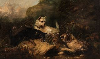 Attributed to George (Smith) Armfield (British, 1808-1893) Three Terriers in a Landscape