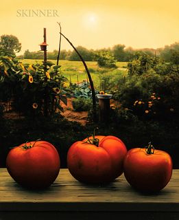 Scott Prior (American, b. 1949) Tomatoes in Community Garden