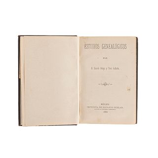Ortega y Pérez Gallardo, Ricardo. Estudios Genealógicos. México: Imprenta de Eduardo Dublán, 1902.
