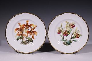 PR ORCHID STUDIES PLATES BY SPODE