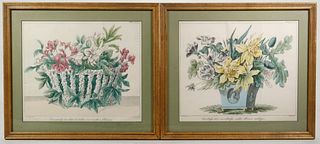 (2) 18TH C. DUTCH FLORAL HAND COLORED ENGRAVINGS, FRAMED