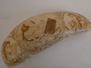 1861 SCRIMSHAW WHALE TOOTH