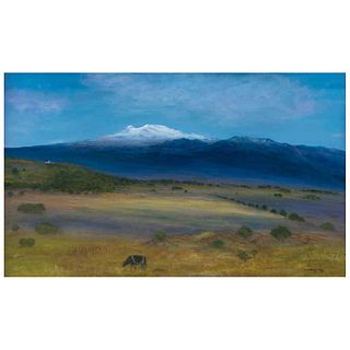 LUIS NISHIZAWA, Paisaje de Amecameca, Signed and dated 98 in front, signed on back, Tempera/canvas/wood, 38.5 x 64.1" (98 x 163 cm), Certificate