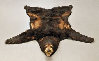 Taxidermy Bear Skin Rug