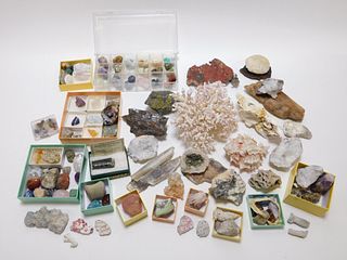LG Collection of Mineral & Oceanic Specimens